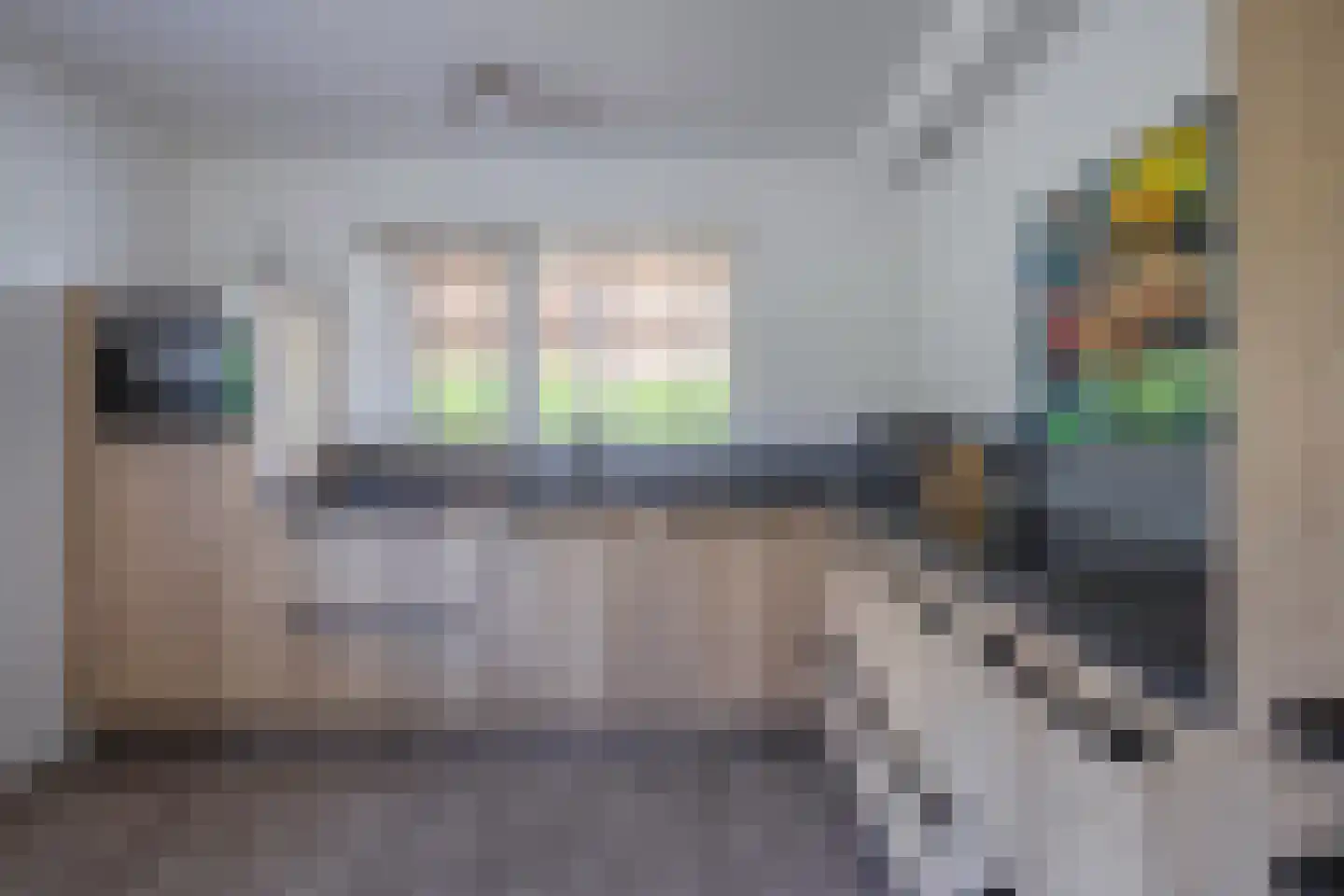 Vogelmient 4 De Koog thumbnail 10