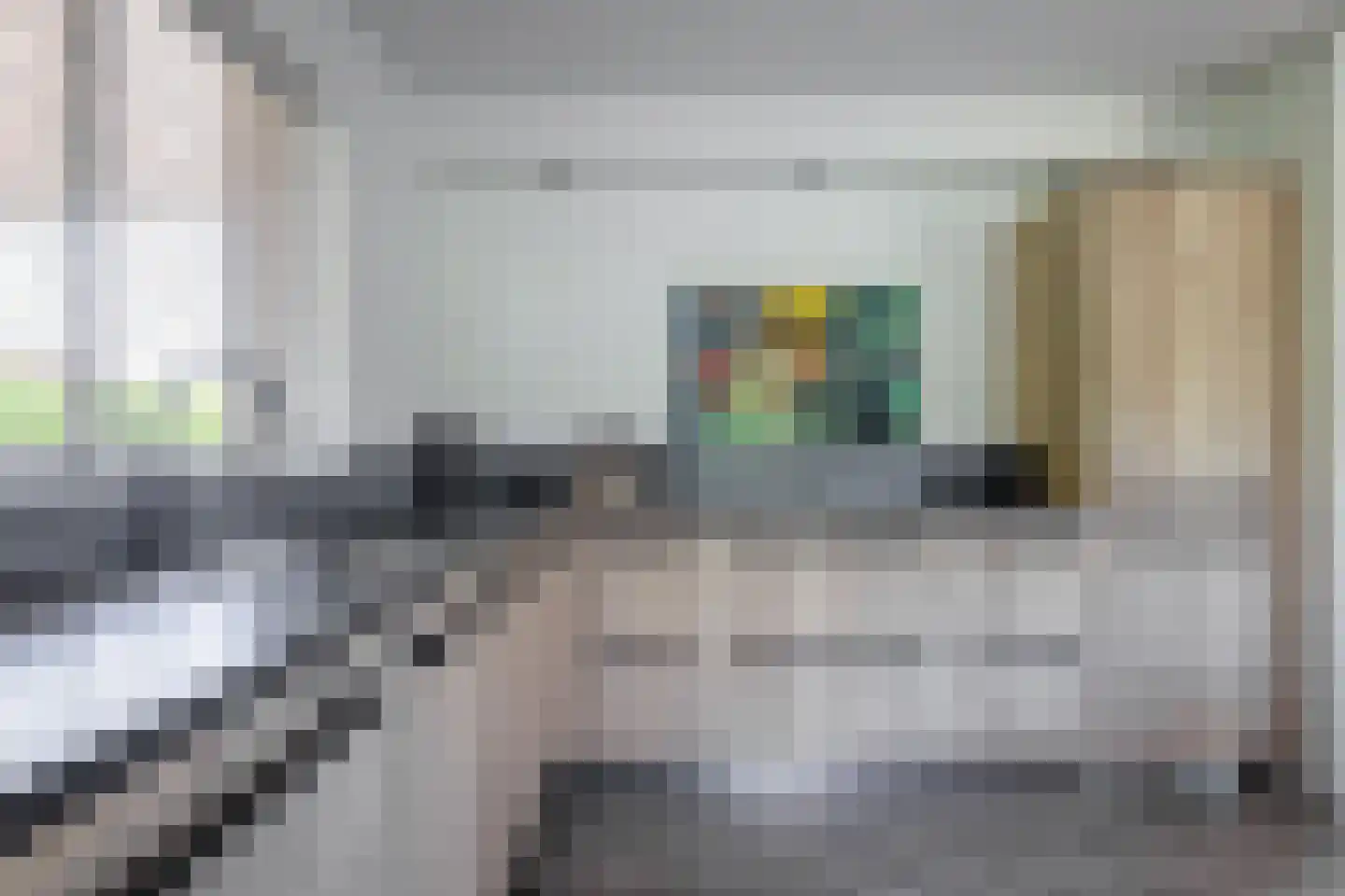 Vogelmient 4 De Koog thumbnail 11