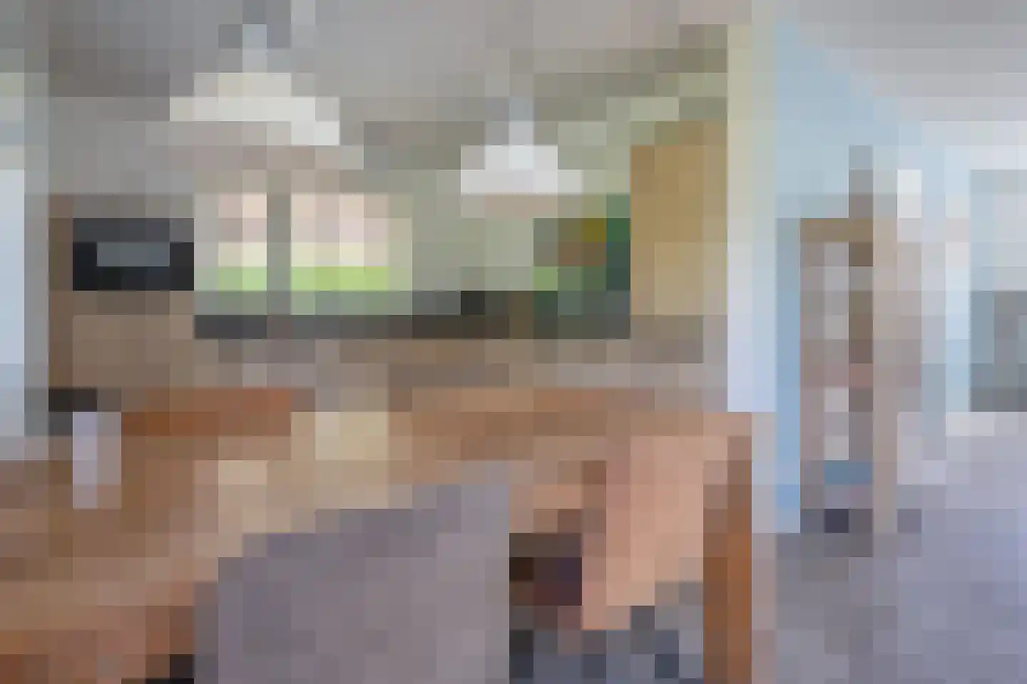 Vogelmient 4 De Koog thumbnail 12