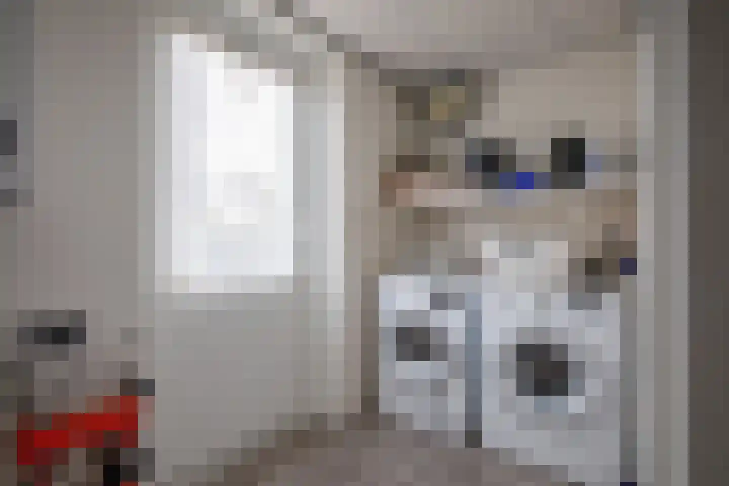 Vogelmient 4 De Koog thumbnail 17