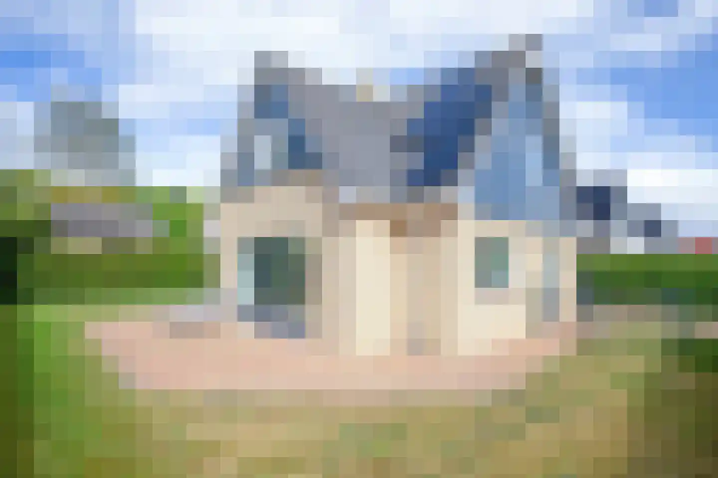 Vogelmient 4 De Koog foto 2