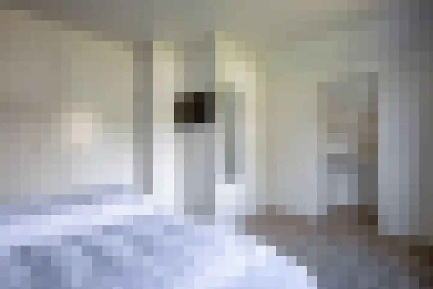 Vogelmient 4 De Koog thumbnail 22