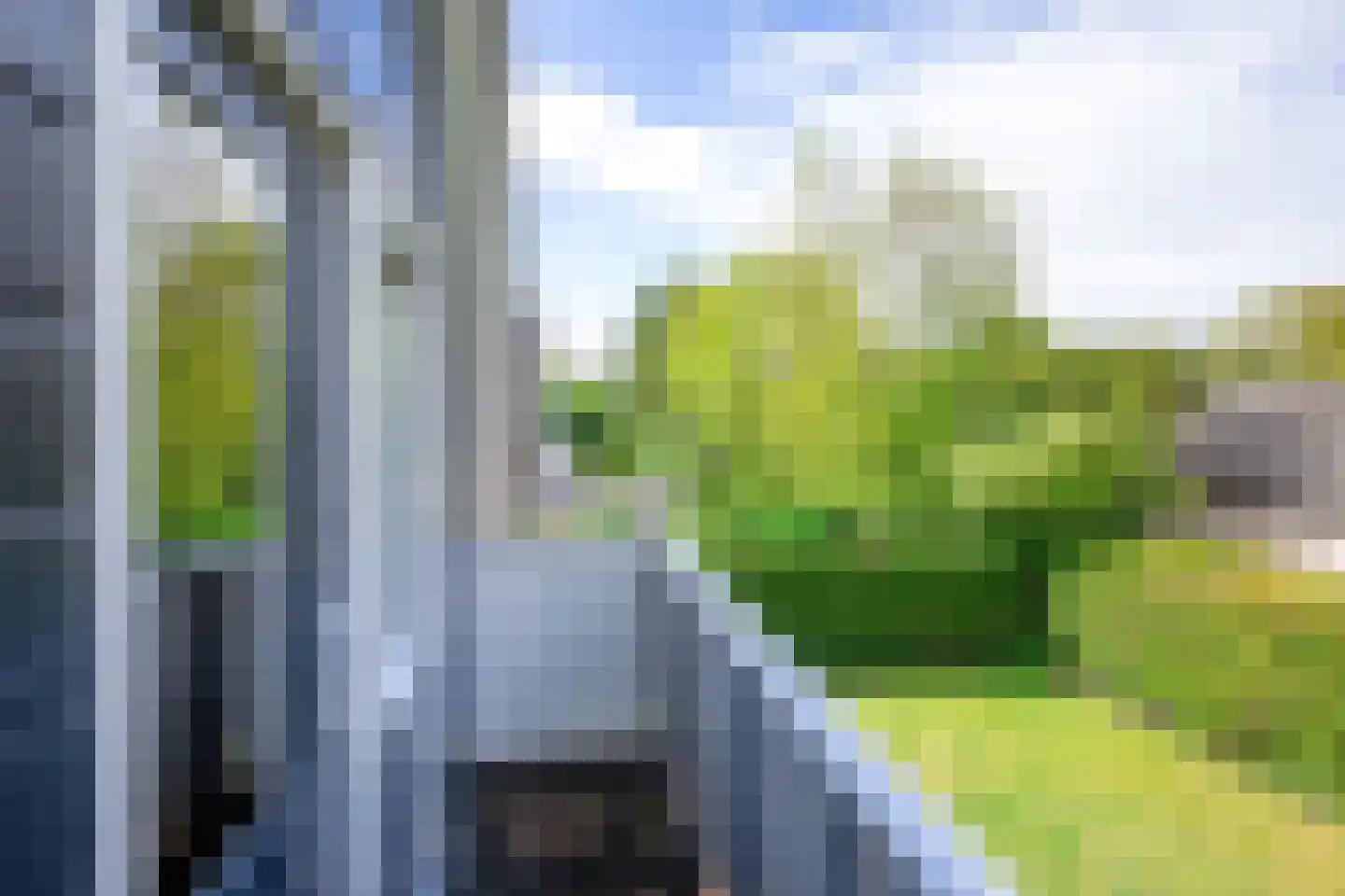 Vogelmient 4 De Koog thumbnail 24