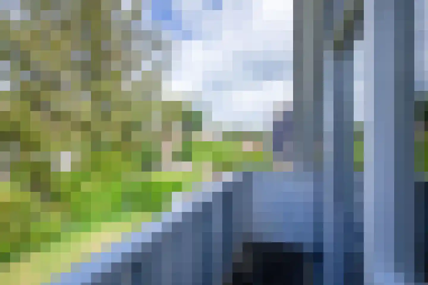 Vogelmient 4 De Koog thumbnail 25