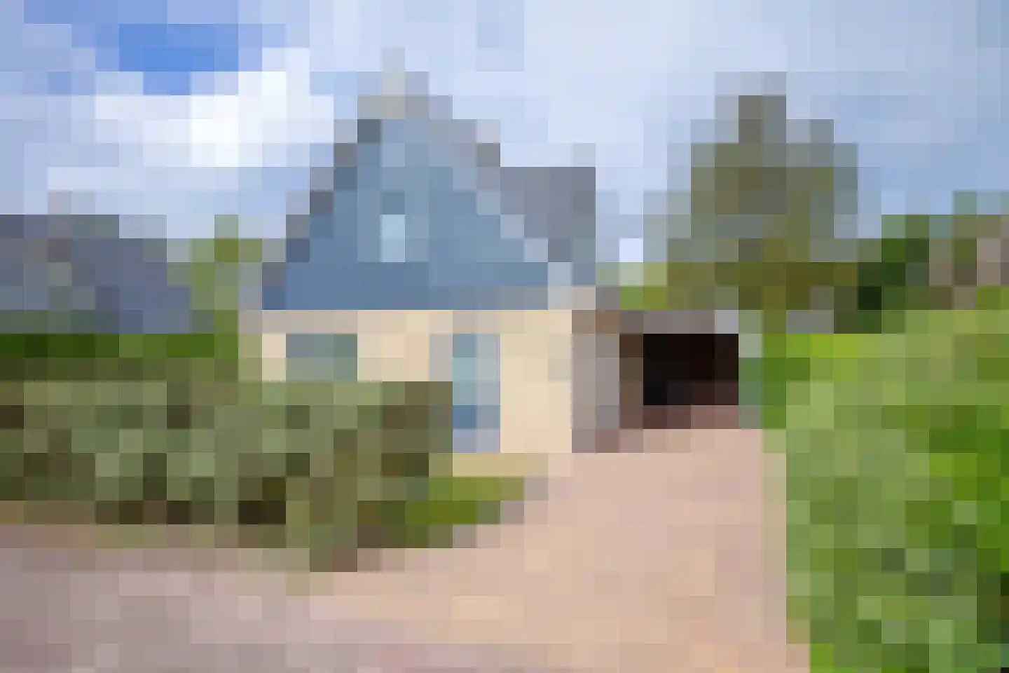 Vogelmient 4 De Koog foto 3