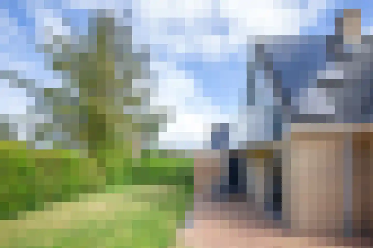 Vogelmient 4 De Koog thumbnail 32