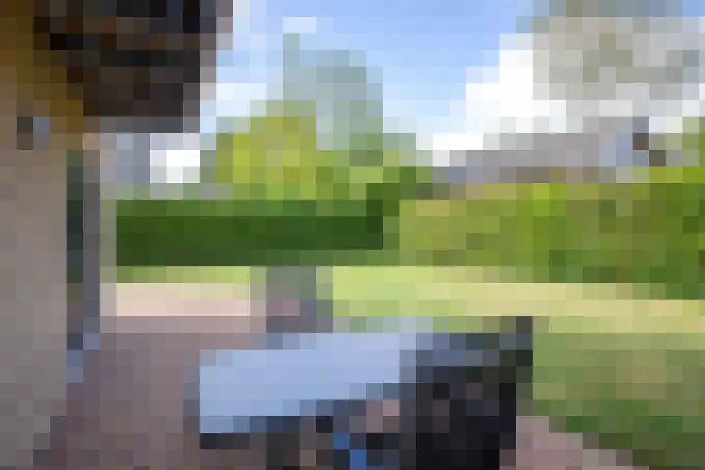 Vogelmient 4 De Koog thumbnail 33