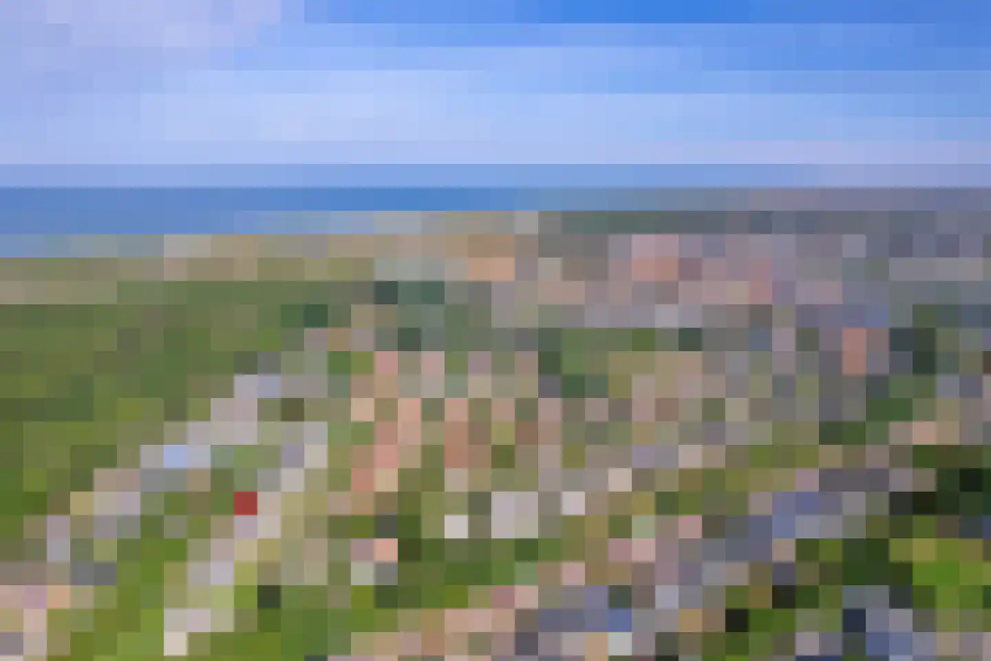 Vogelmient 4 De Koog thumbnail 39