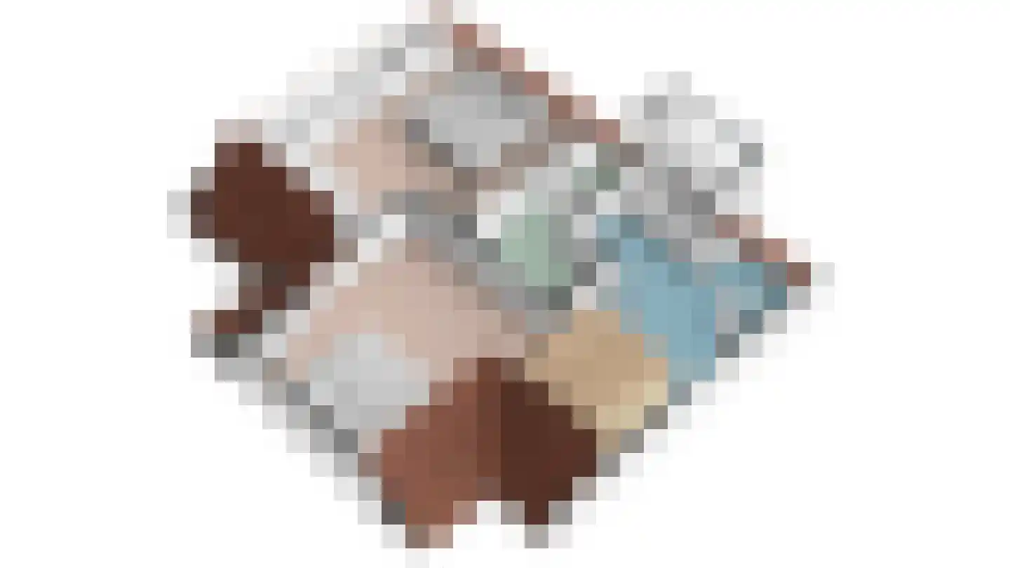 Vogelmient 4 De Koog thumbnail 43