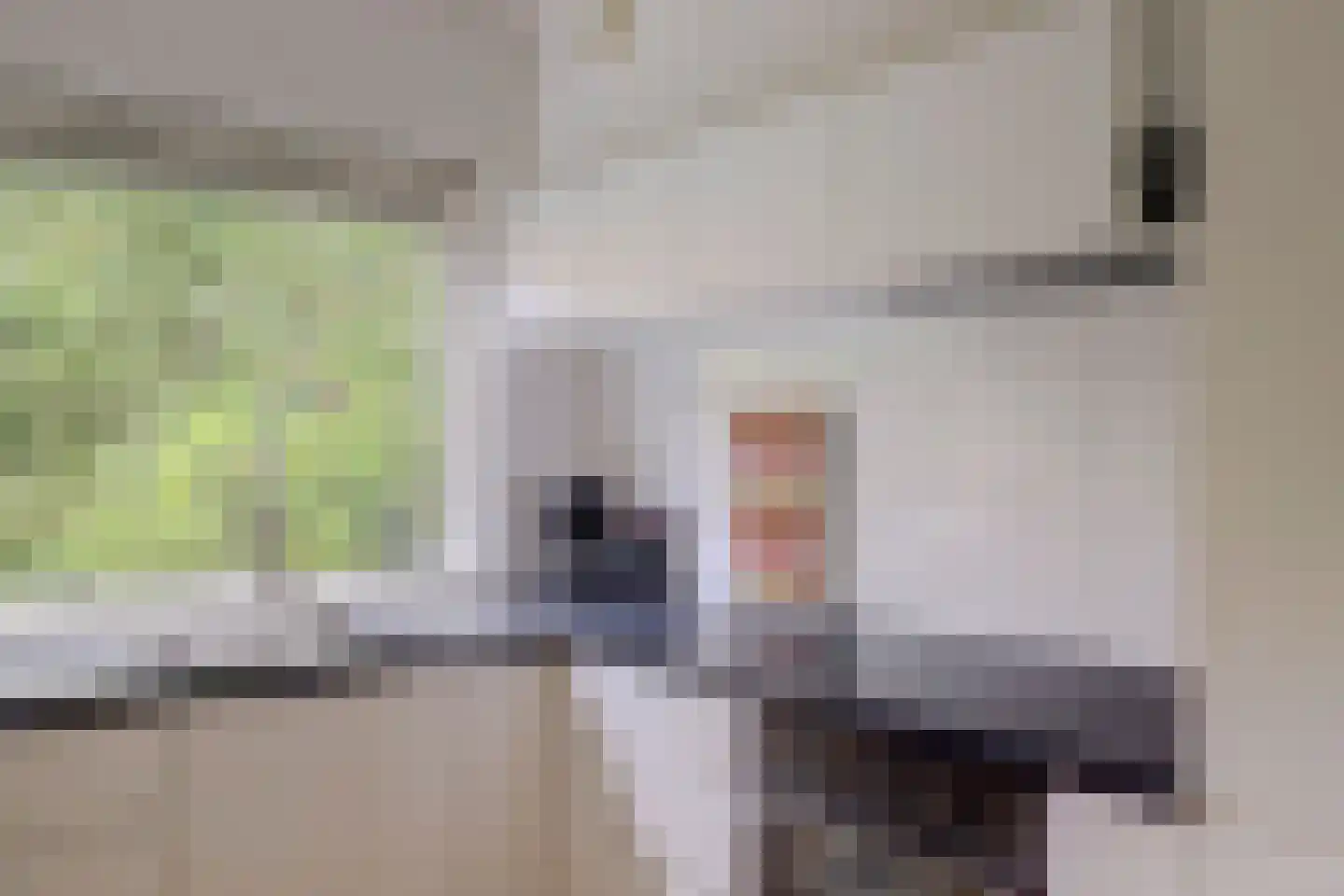 Vogelmuur 1 Bodegraven thumbnail 19