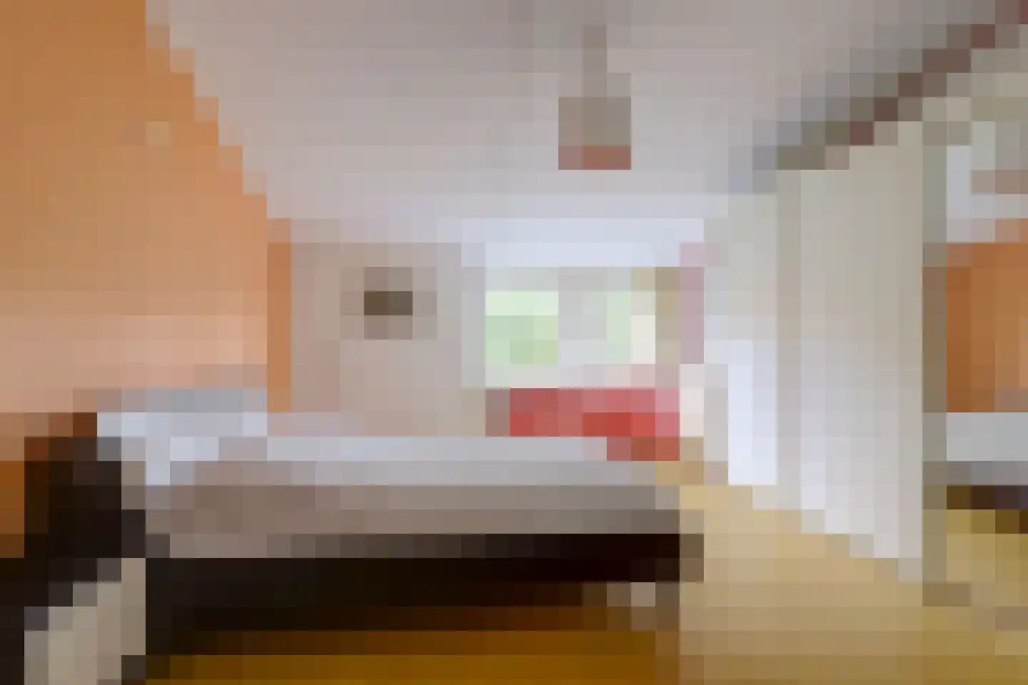 Vogelmuur 1 Bodegraven thumbnail 26