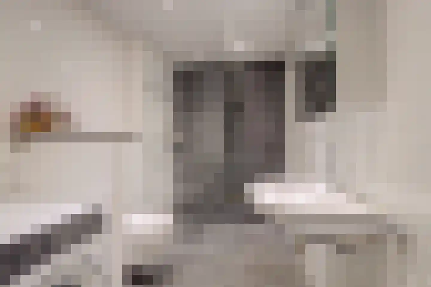 Vogelmuur 1 Bodegraven thumbnail 32