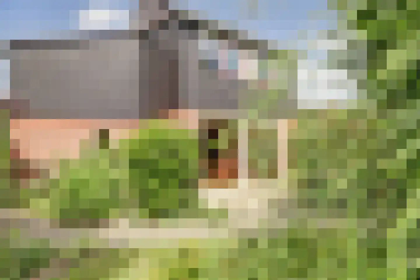 Vogelmuur 1 Bodegraven thumbnail 40