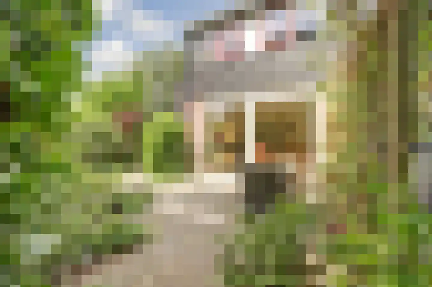 Vogelmuur 1 Bodegraven thumbnail 41
