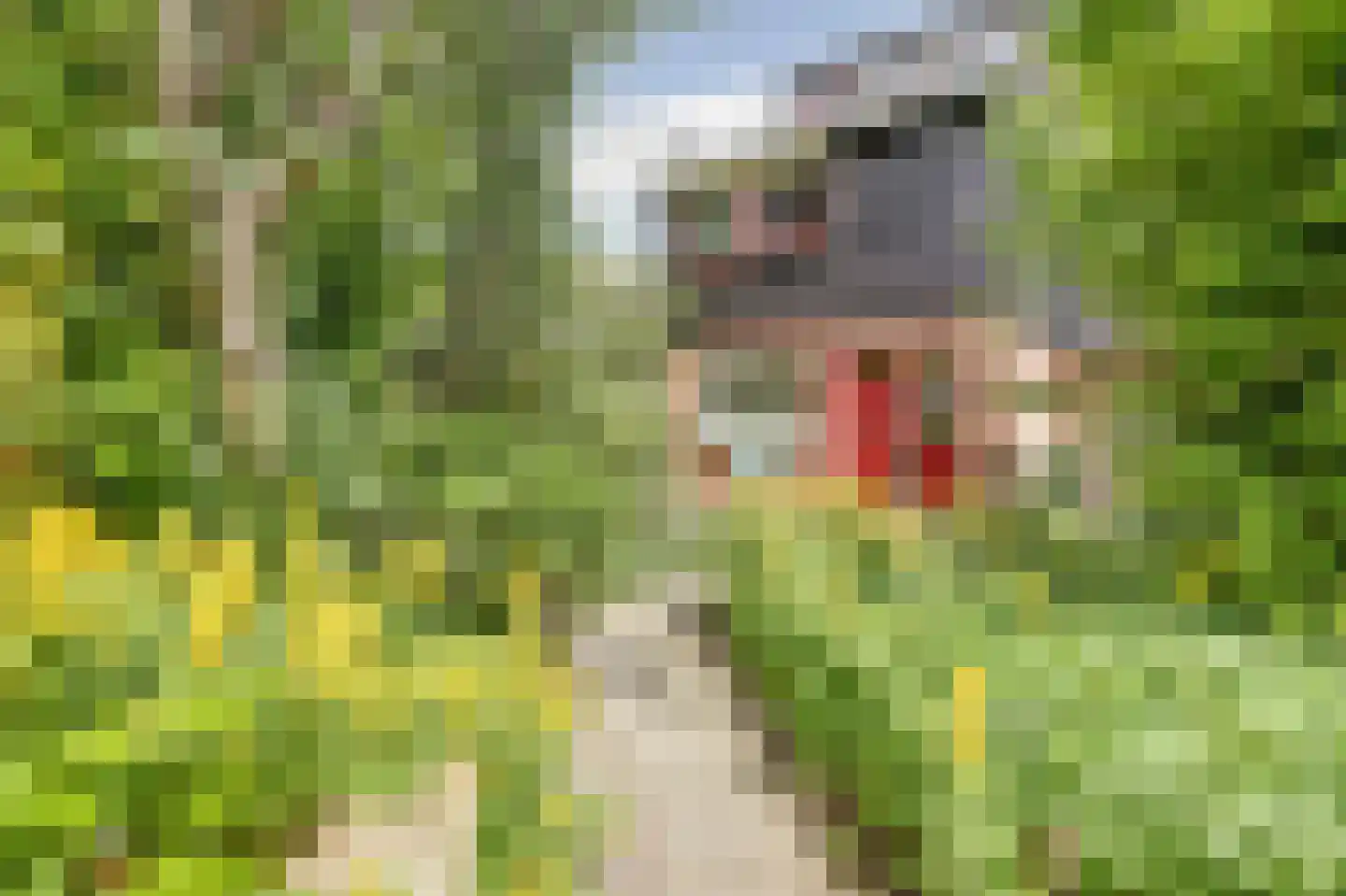 Vogelmuur 1 Bodegraven thumbnail 43