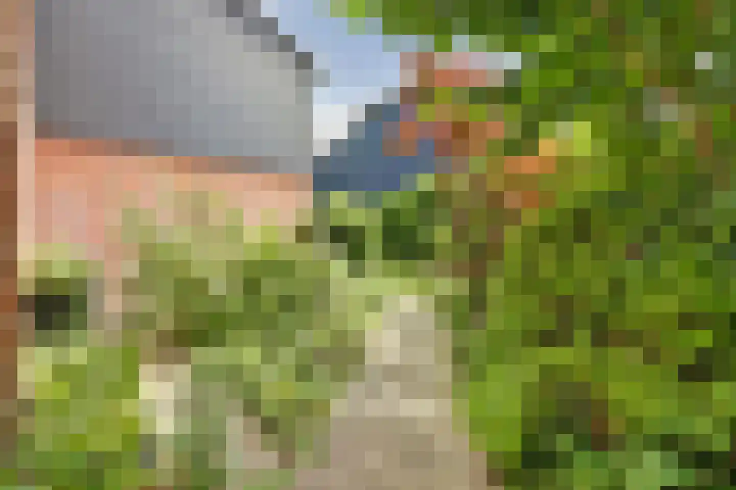 Vogelmuur 1 Bodegraven thumbnail 44