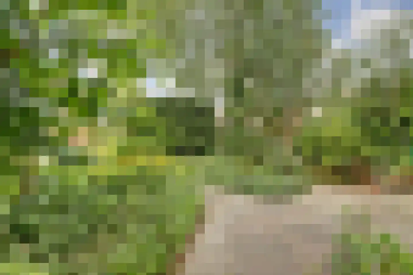 Vogelmuur 1 Bodegraven thumbnail 45