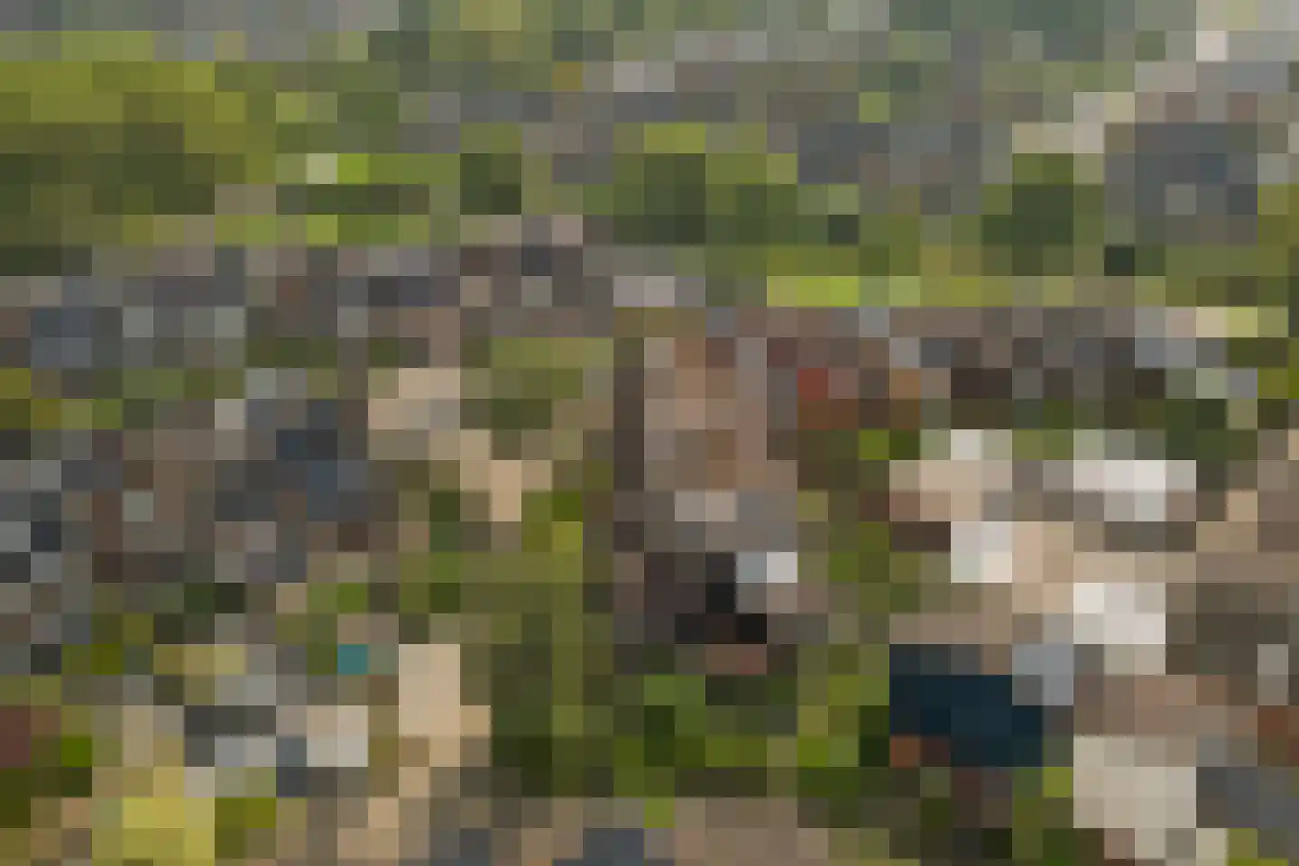 Vogelmuur 1 Bodegraven thumbnail 48