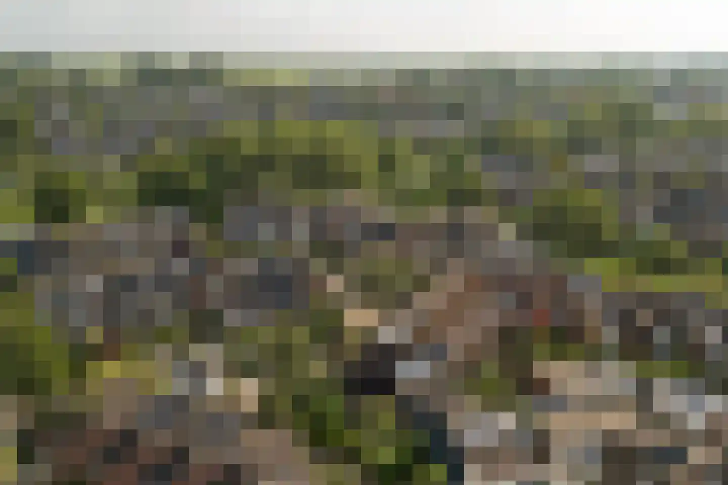 Vogelmuur 1 Bodegraven thumbnail 49