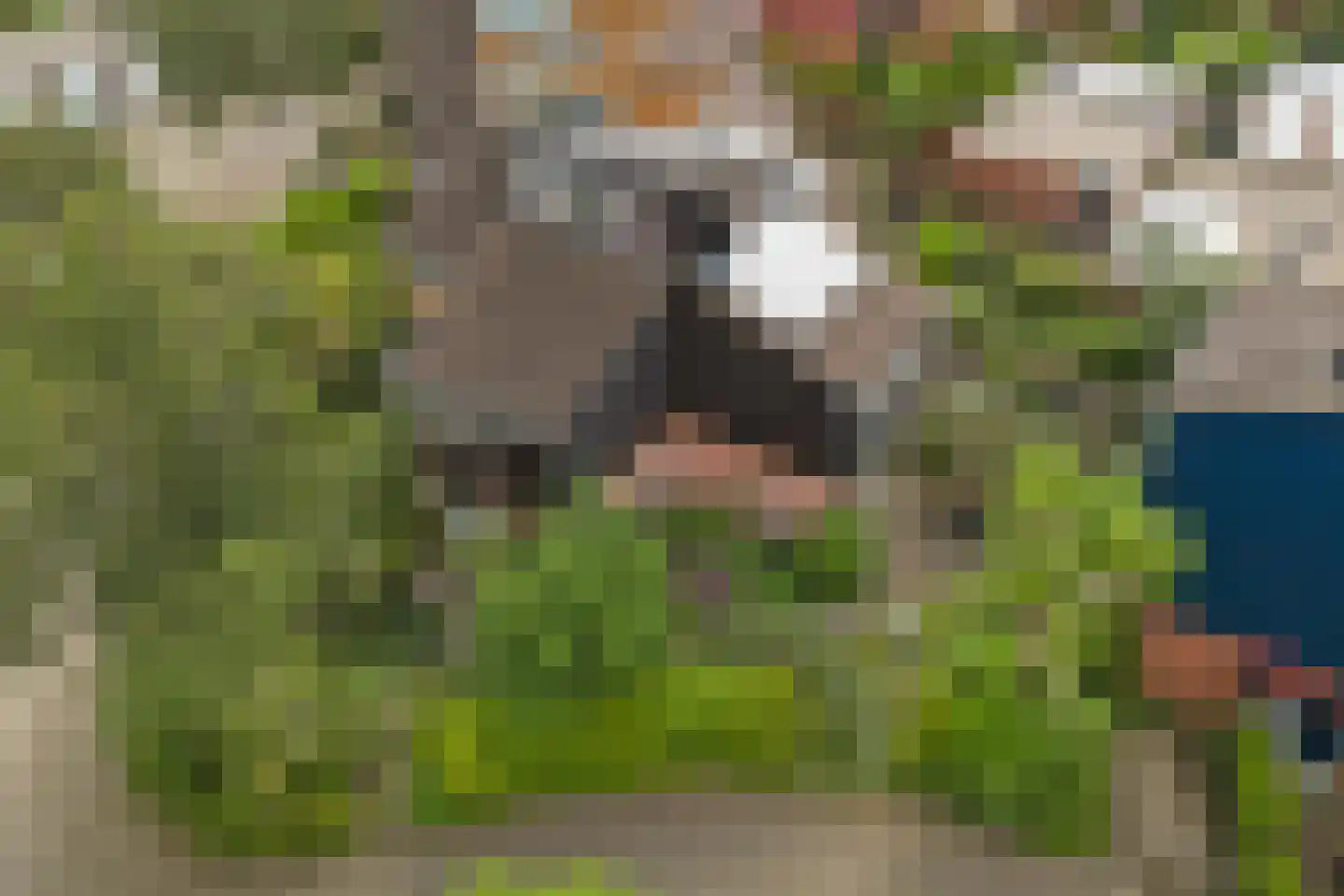 Vogelmuur 1 Bodegraven thumbnail 5