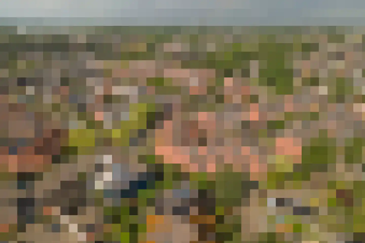Vogelmuur 1 Bodegraven thumbnail 50