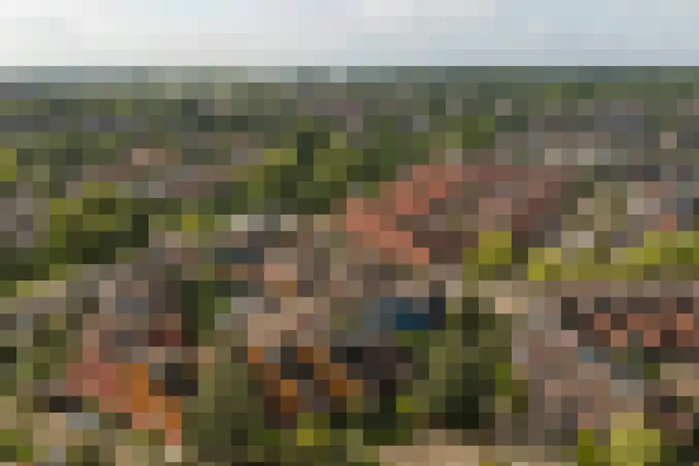 Vogelmuur 1 Bodegraven thumbnail 51