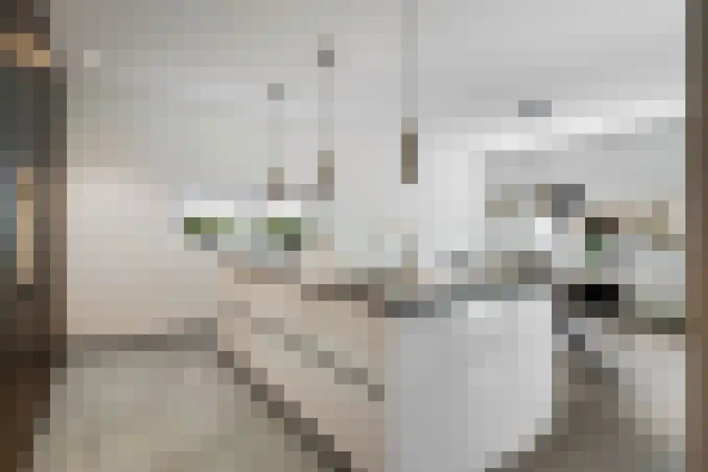 Vogelmuur 18 Heerlen thumbnail 10