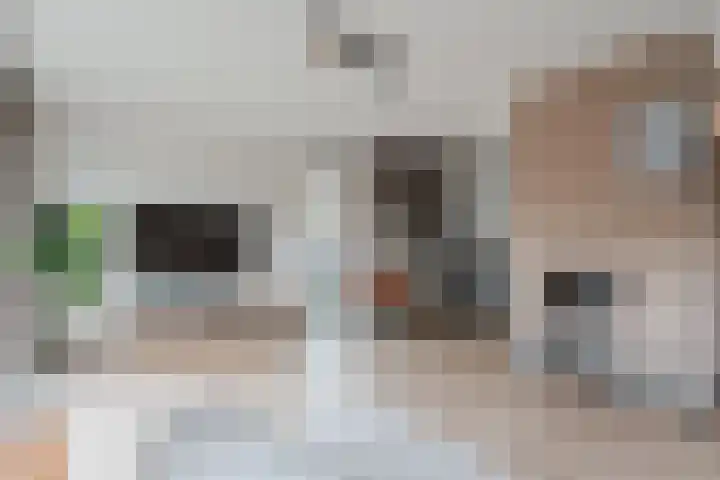 Vogelmuur 6 Bodegraven thumbnail 15