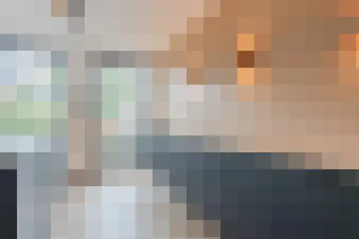 Vogelmuur 6 Bodegraven thumbnail 21