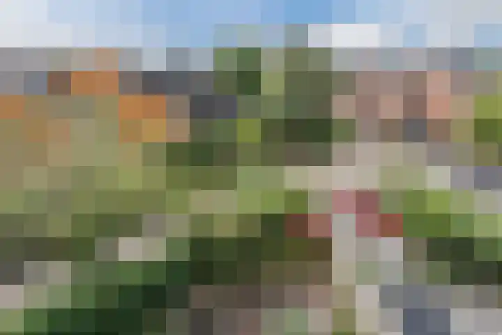 Vogelmuur 6 Bodegraven thumbnail 41