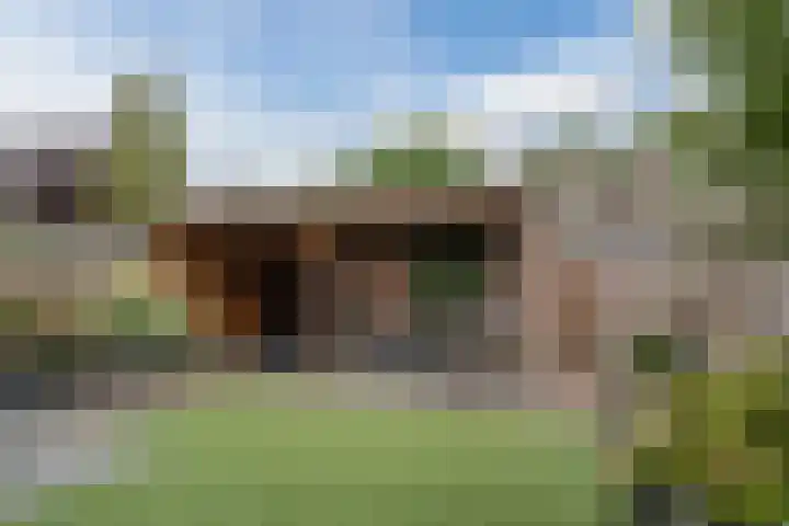 Vogelmuur 6 Bodegraven thumbnail 43
