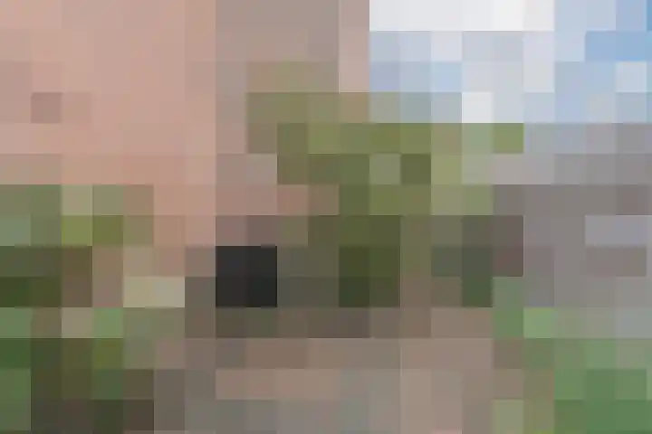 Vogelmuur 6 Bodegraven thumbnail 47