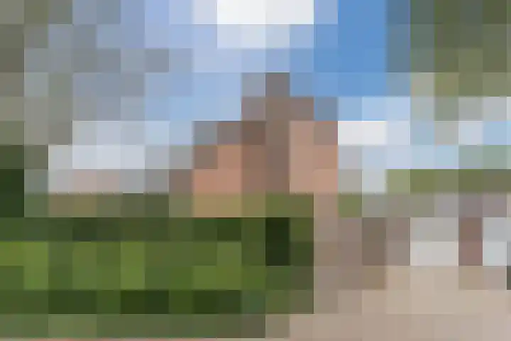 Vogelmuur 6 Bodegraven thumbnail 48