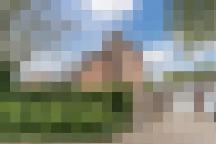 Vogelmuur 6 Bodegraven thumbnail 5