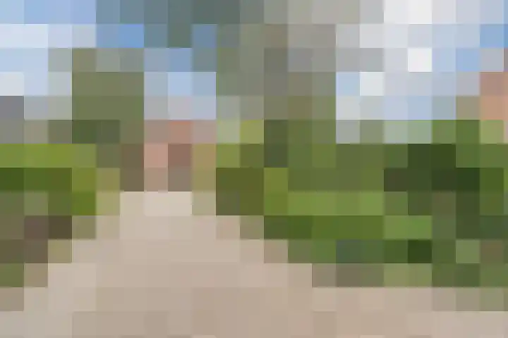 Vogelmuur 6 Bodegraven thumbnail 50