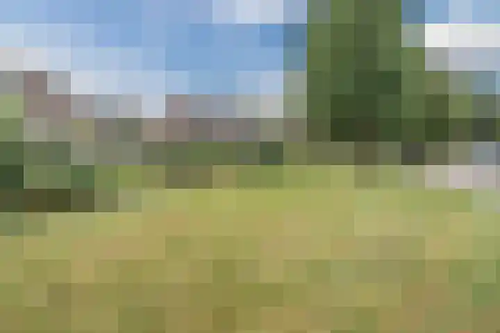 Vogelmuur 6 Bodegraven thumbnail 51