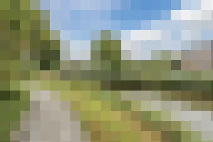 Vogelmuur 6 Bodegraven thumbnail 52