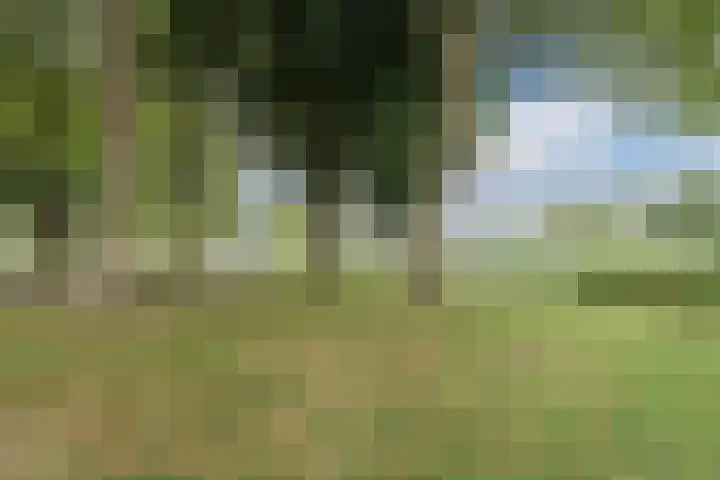 Vogelmuur 6 Bodegraven thumbnail 53