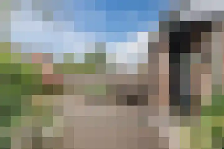 Vogelmuur 6 Bodegraven thumbnail 7