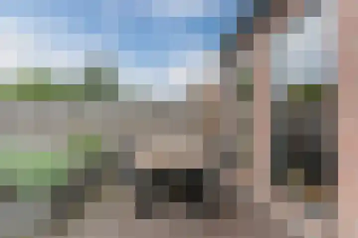 Vogelmuur 6 Bodegraven thumbnail 8