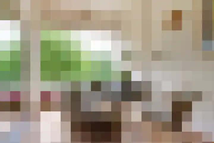 Vogelplantsoen 109 Dieren thumbnail 10