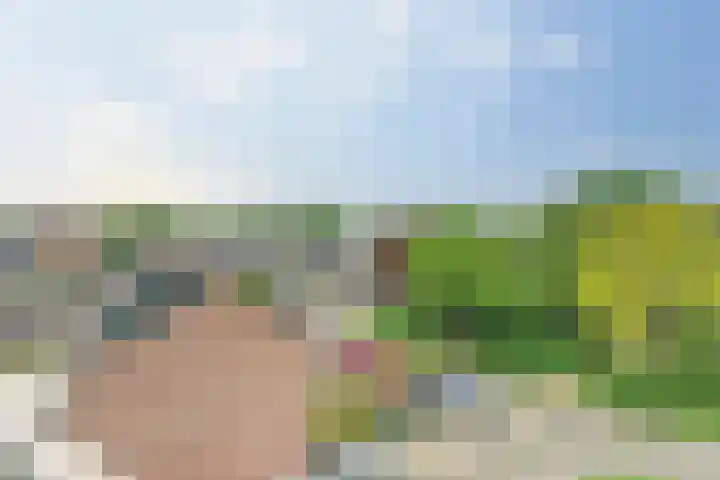 Vogelplantsoen 109 Dieren thumbnail 31