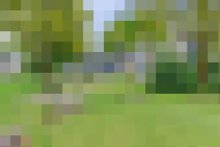 Vogelplantsoen 109 Dieren thumbnail 32