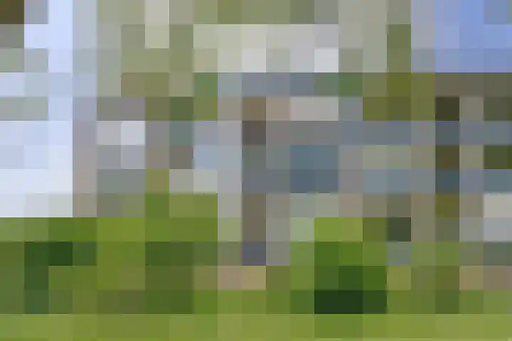 Vogelplantsoen 109 Dieren thumbnail 39