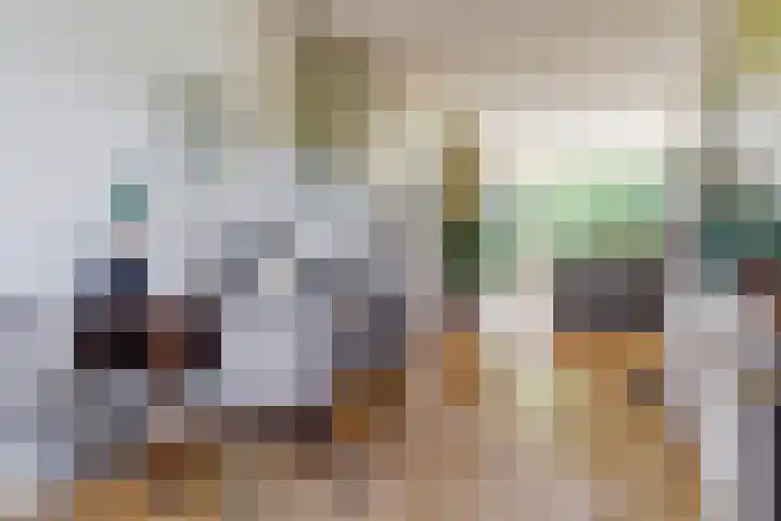 Vogelplantsoen 109 Dieren thumbnail 7