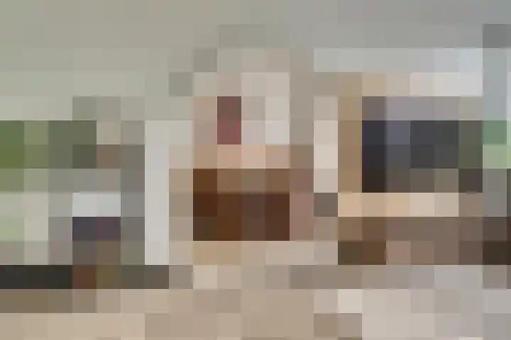 Vogelplantsoen 126 Dieren thumbnail 11