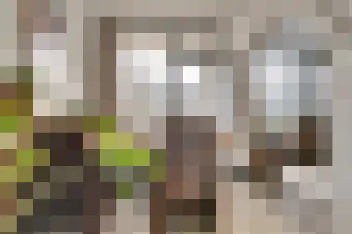 Vogelplantsoen 126 Dieren thumbnail 12