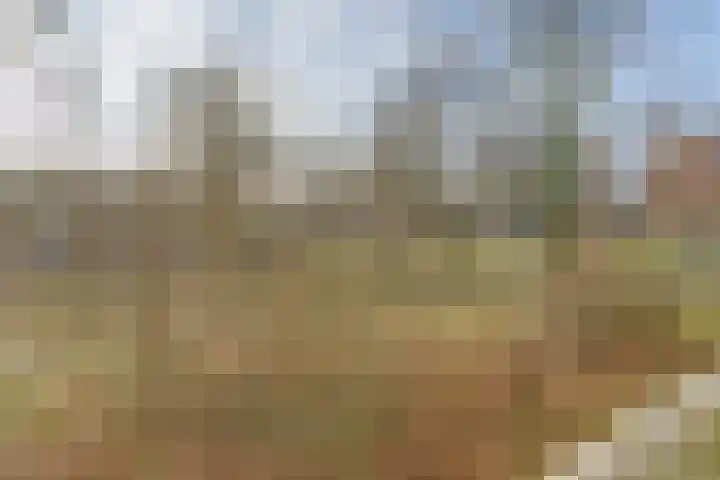Vogelplantsoen 126 Dieren thumbnail 16