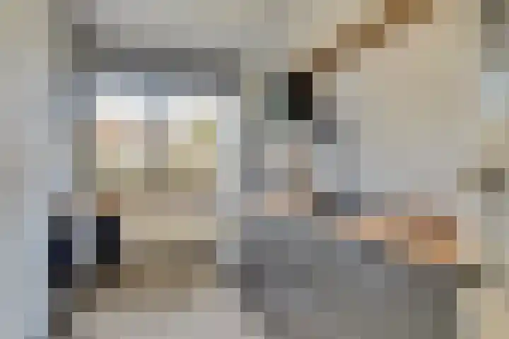Vogelplantsoen 126 Dieren thumbnail 17