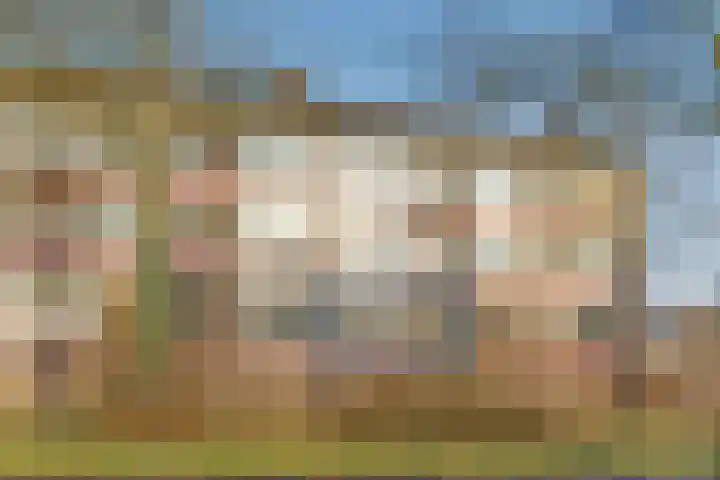 Vogelplantsoen 126 Dieren thumbnail 23